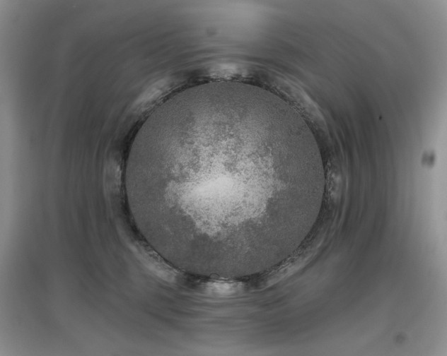 X0000097650375200802291455