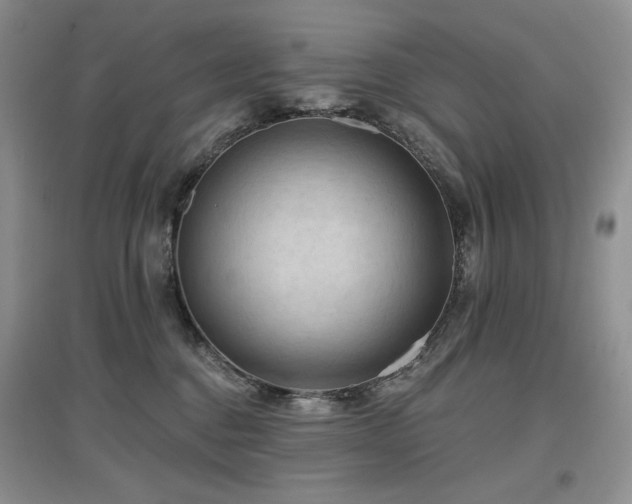 X0000097650376200802291455