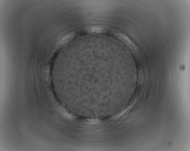 X0000097650377200802291455