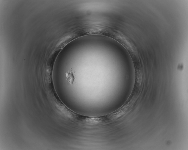 X0000097650378200802291455