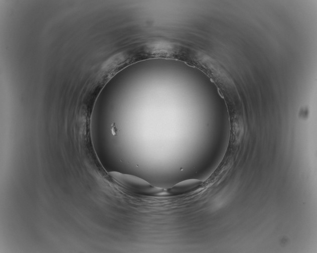 X0000097650379200802291455