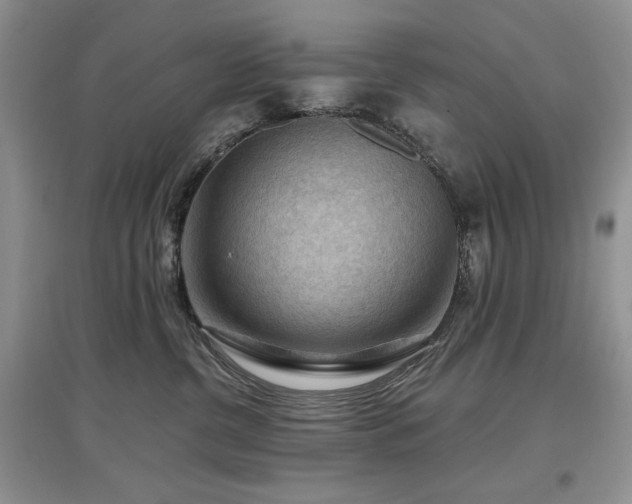 X0000097650380200802291455