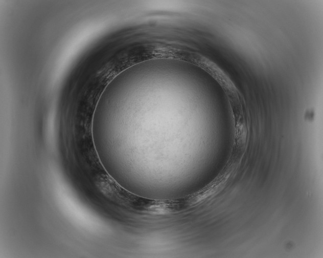 X0000097650381200802291455