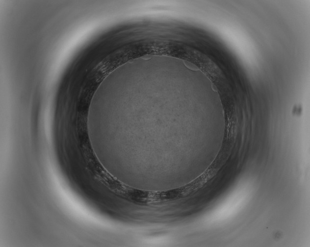 X0000097650383200802291456