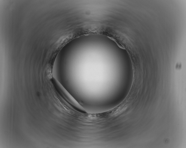 X0000097650384200802291456