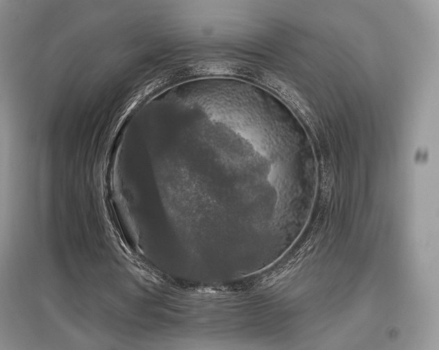 X0000097650386200802291455