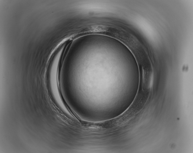 X0000097650387200802291455