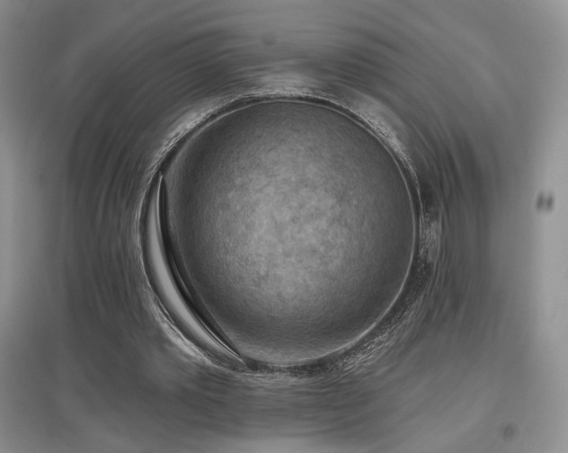 X0000097650389200802291455