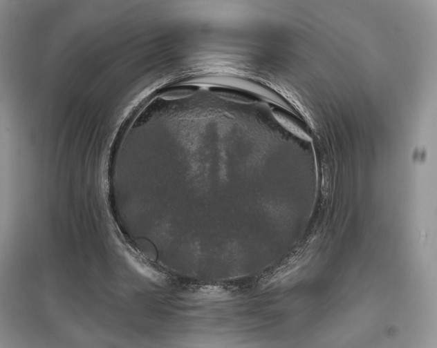 X0000097650390200802291455