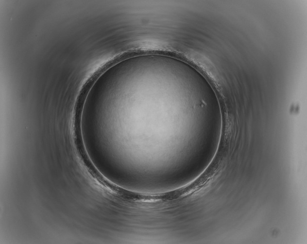 X0000097650391200802291455