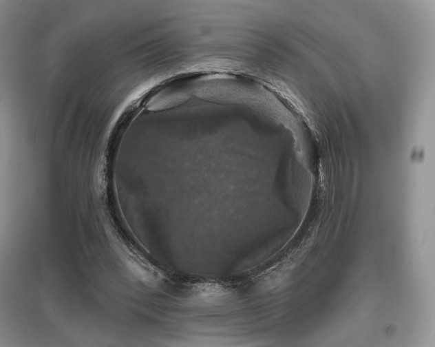 X0000097650392200802291455