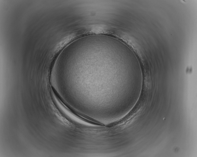 X0000097650393200802291455