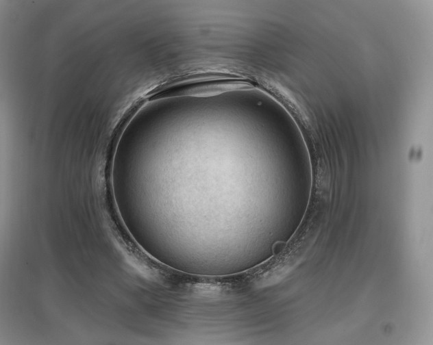 X0000097650394200802291455