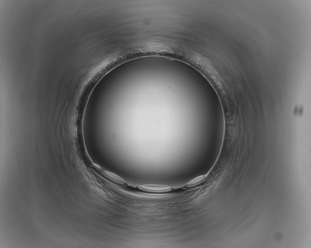 X0000097650395200802291455