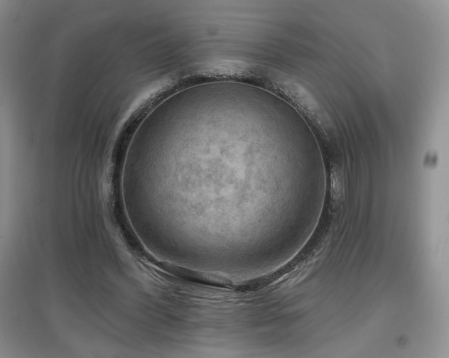 X0000097650396200802291455