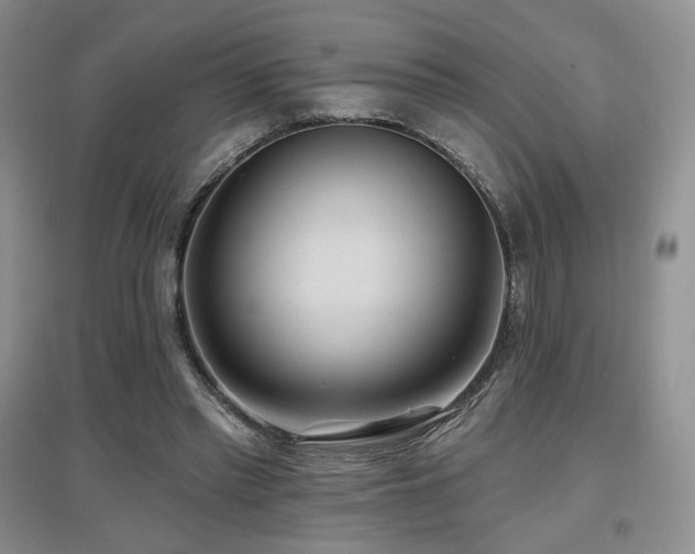 X0000097650397200802291455