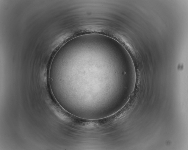 X0000097650398200802291455