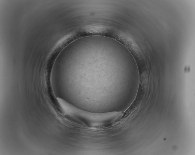 X0000097650400200802291455