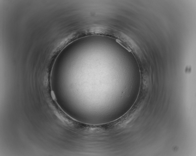 X0000097650401200802291455