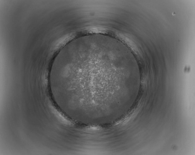 X0000097650402200802291455