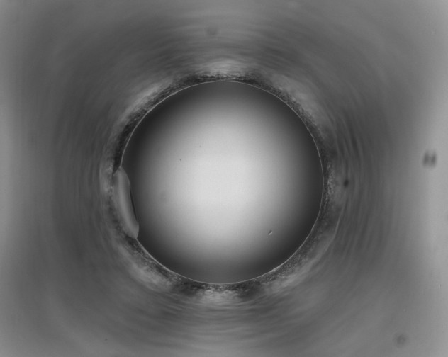 X0000097650403200802291455