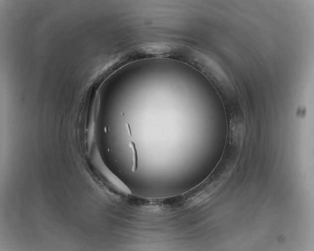 X0000097650404200802291455