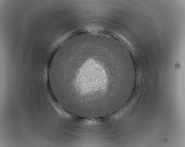 X0000097650405200802291455