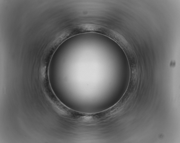 X0000097650406200802291455