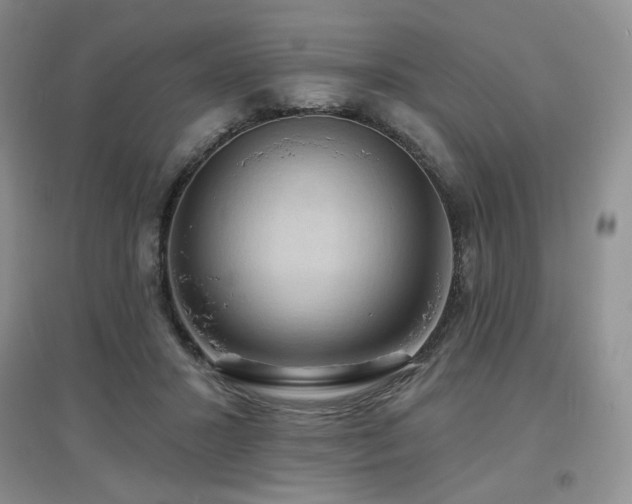 X0000097650407200802291455