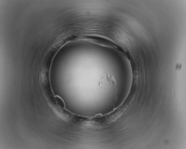 X0000097650408200802291455