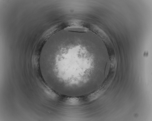 X0000097650409200802291455