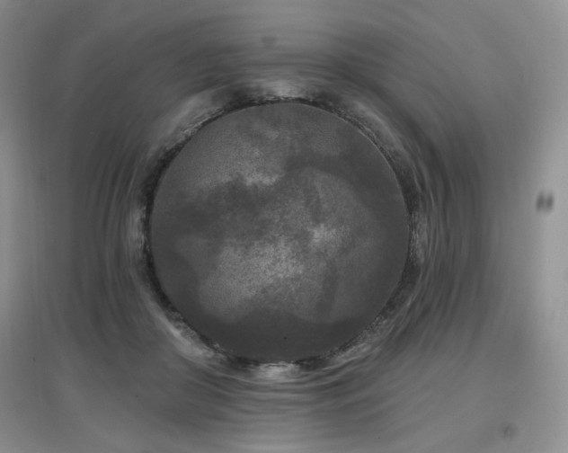 X0000097650410200802291455