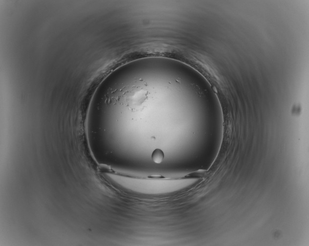 X0000097650411200802291454