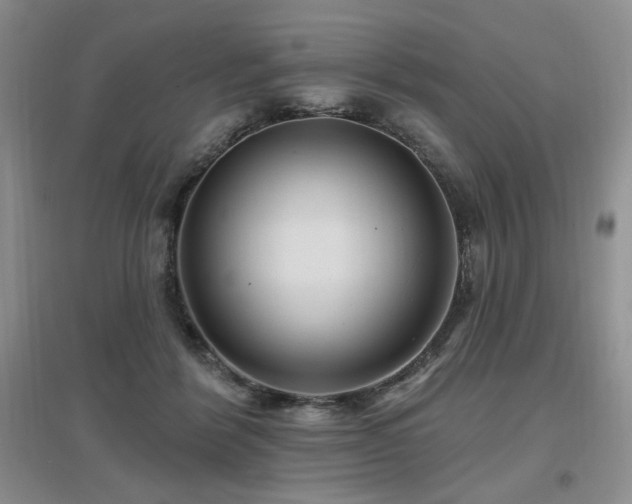 X0000097650412200802291454