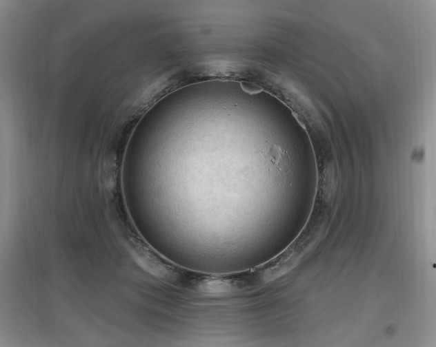 X0000097650413200802291454