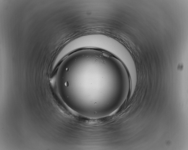 X0000097650414200802291454