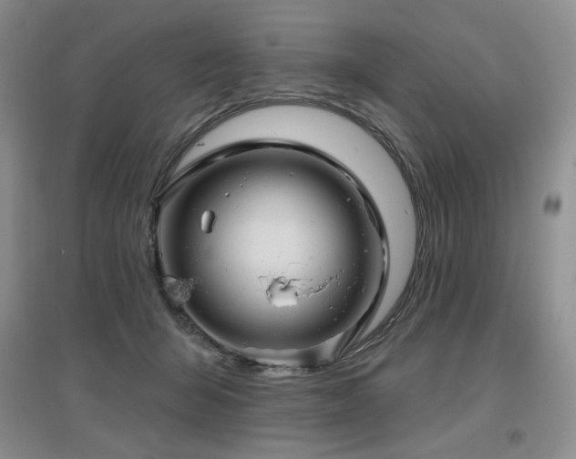 X0000097650415200802291454