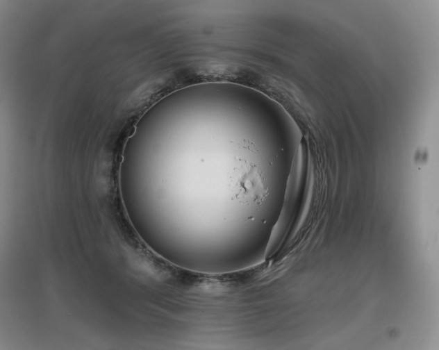 X0000097650416200802291454