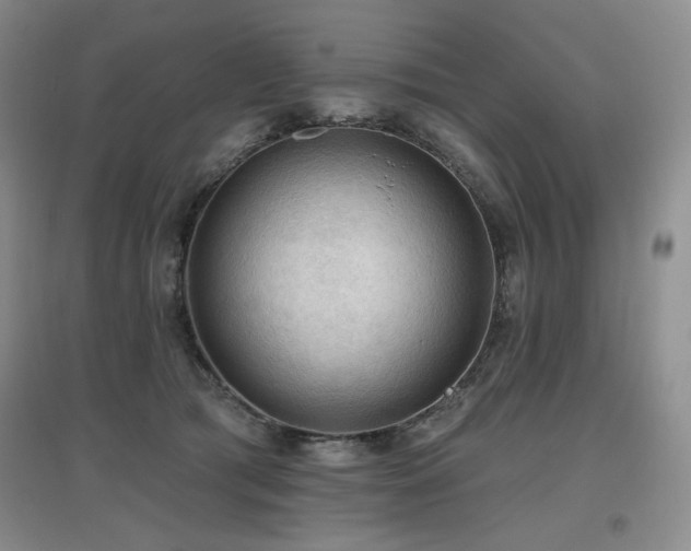 X0000097650417200802291454