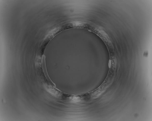 X0000097650419200802291454