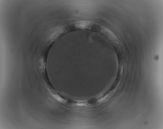 X0000097650420200802291454