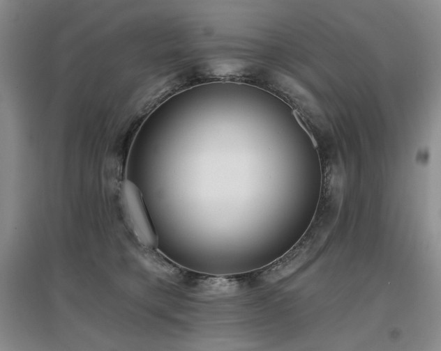 X0000097650421200802291454