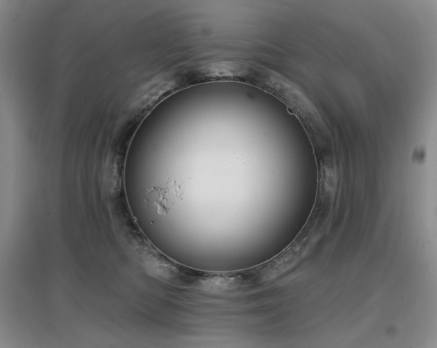 X0000097650422200802291454