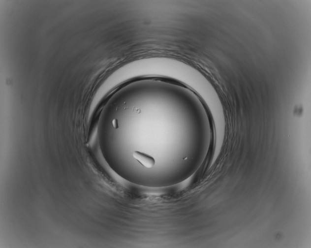 X0000097650423200802291454