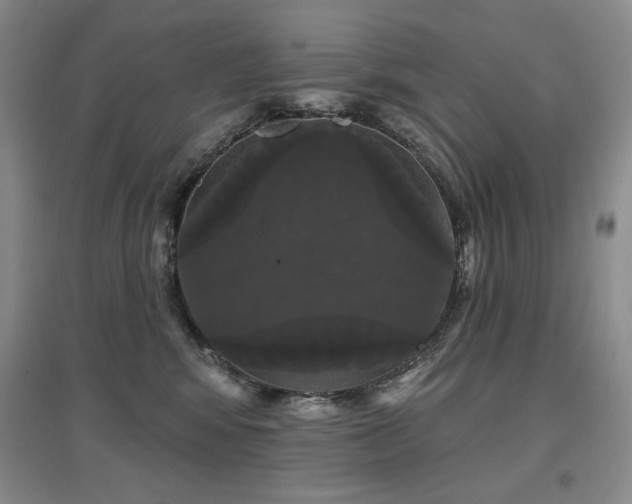 X0000097650424200802291454