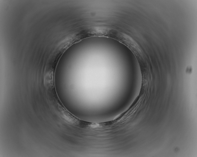 X0000097650425200802291454