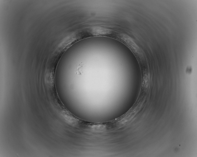 X0000097650426200802291454