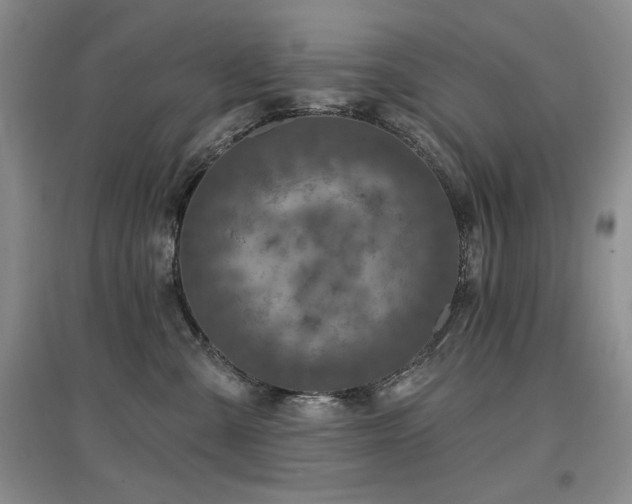 X0000097650427200802291454