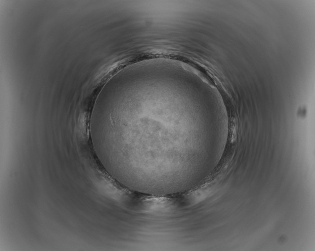 X0000097650428200802291454