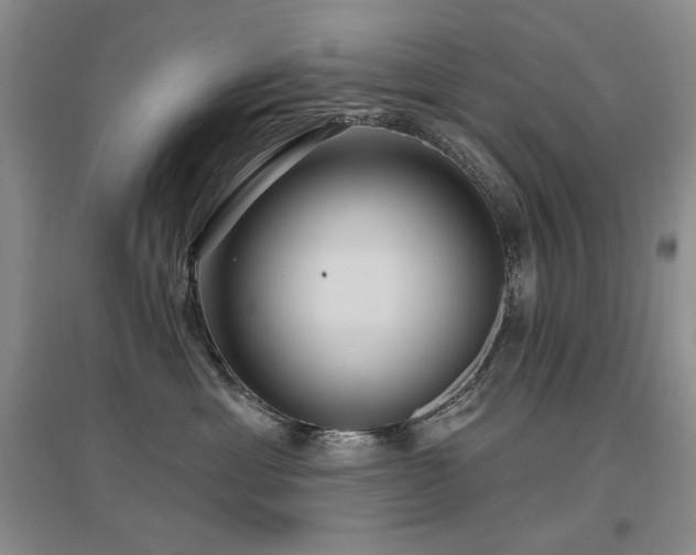 X0000097650429200802291454